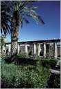 ercolano0012.jpg
