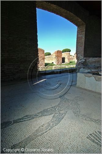 ostiaantica_8651.jpg