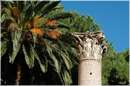 ostiaantica_8747.jpg