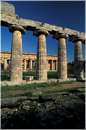 paestum0016.jpg