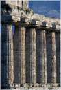 paestum0019.jpg