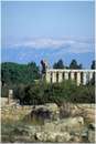 paestum0024.jpg