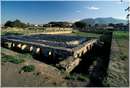 paestum0025.jpg