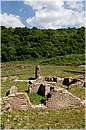 roselle_1467.jpg