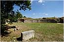 roselle_1504.jpg