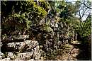 roselle_1518.jpg