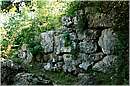 roselle_1525.jpg