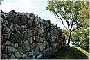 roselle_1527.jpg