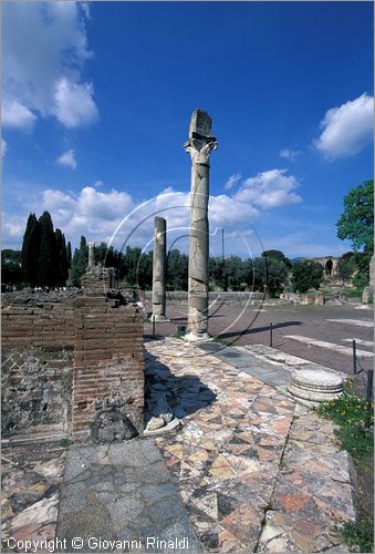 ITALY - VILLA ADRIANA (Tivoli RM) - Edificio a tre Esedre