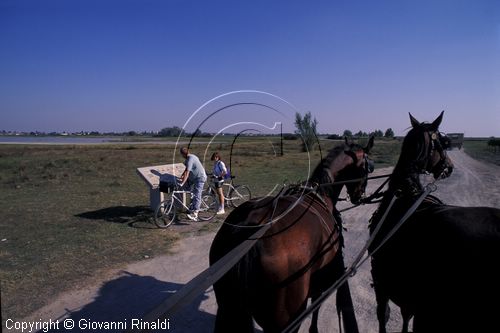 AUSTRIA - BURGENLAND - Illimitz - passeggiata con carrozza