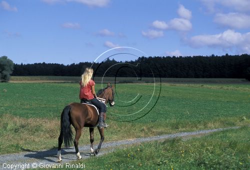 AUSTRIA - BURGENLAND - passeggiata a cavallo