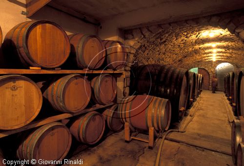 AUSTRIA - BURGENLAND - Deutschkreutz - Walter Kirnbauer - la cantina