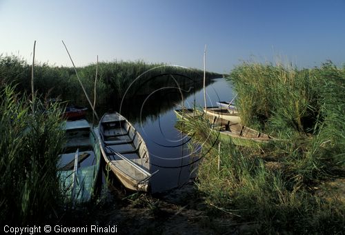 AUSTRIA - BURGENLAND - Rust am Neusiedlersee - le rive del lago