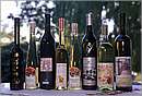 austria_burgenland_0008.jpg