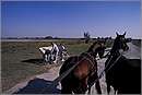 austria_burgenland_0009.jpg