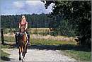 austria_burgenland_0014.jpg