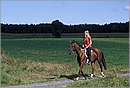 austria_burgenland_0015.jpg