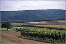 austria_burgenland_0017.jpg