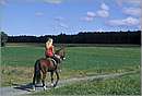 austria_burgenland_0026.jpg