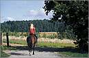 austria_burgenland_0027.jpg