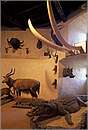 austria_lockenhaus_0011.jpg