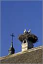 austria_rust_0023.jpg