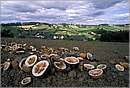 austria_stagersbach_0001.jpg