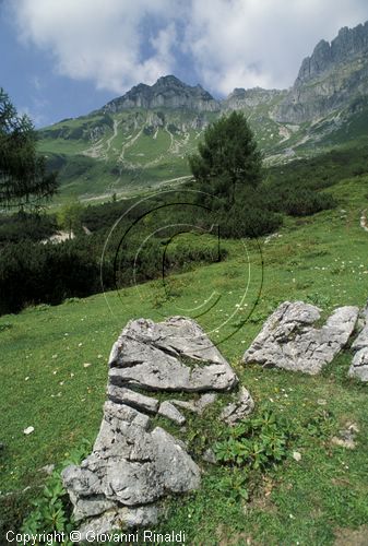 AUSTRIA - (FILZMOOS) - la valle a sud del Grosse Bischofsmutze