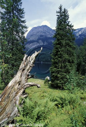 AUSTRIA - SALZKAMMERGUT (GOSAU) - Hinterer Gosausee