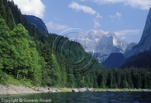 AUSTRIA - SALZKAMMERGUT (GOSAU) - veduta della sponda est del Gosausee - dietro il gruppo del Dachstein