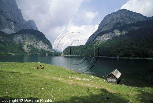 AUSTRIA - SALZKAMMERGUT (GOSAU) - Hinterer Gosausee - dietro il monte Brett Kg (1838 mt.)