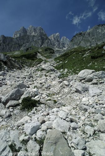 AUSTRIA - (FILZMOOS) - veduta del gruppo a sud del Grosse Bischofsmutze