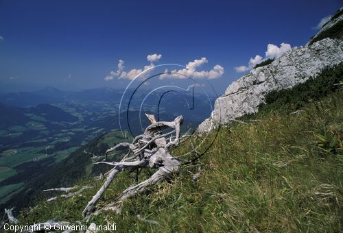 AUSTRIA - SALZKAMMERGUT (GOSAU) - salita alle Gosaukamm con vista sulla valle a sud-ovest