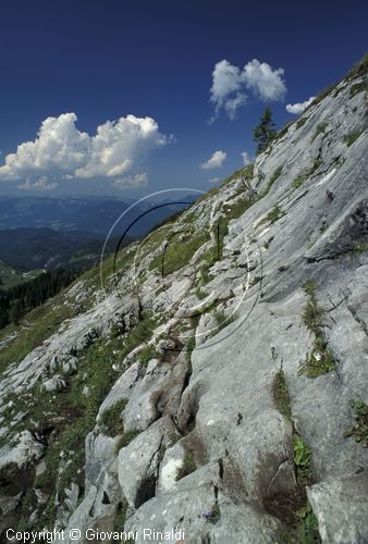 AUSTRIA - SALZKAMMERGUT (GOSAU) - salita dal versante sud-ovest del Donnerkogel (2055 mt:)