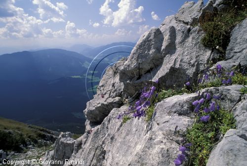 AUSTRIA - SALZKAMMERGUT (GOSAU) - salita alle Gosaukamm con vista sulla valle a sud-ovest