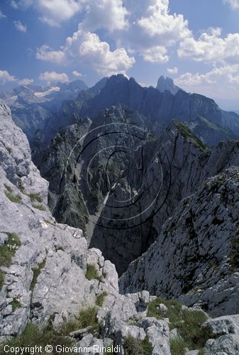 AUSTRIA - SALZKAMMERGUT (GOSAU) - veduta del gruppo delle Gosaukamm dalla vetta del Donnerkogel (2055 mt:)