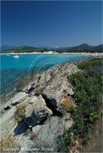 corsica_saleccia0008.jpg