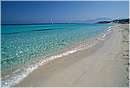 corsica_saleccia0002.jpg