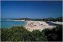 corsica_saleccia0004.jpg