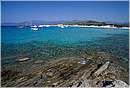 corsica_saleccia0007.jpg