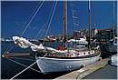 corsica_stflorent0014.jpg