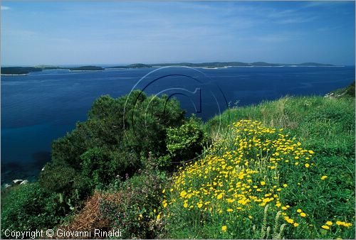 CROATIA - (Croazia) - ISOLA DI HVAR - veduta verso il piccolo arcipelago di Pakleni Otoci dal monte