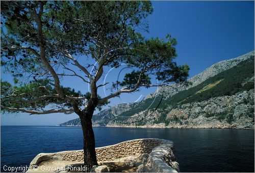 CROATIA - (Croazia) - ISOLA DI HVAR - la costa meridionale presso Nedjelja