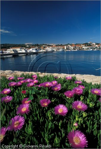 CROATIA - (Croazia) - Isola di Murter - Jezera - porto turistico Aci Marina Jezera