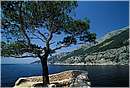 croazia0018.jpg