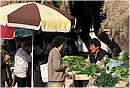 croazia0052.jpg