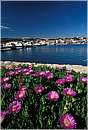 croazia0070.jpg