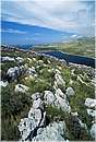 kornati0012.jpg