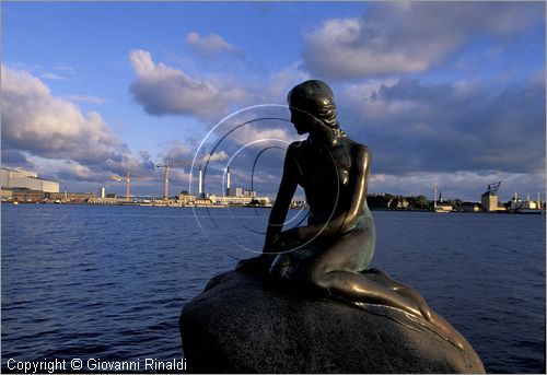 DENMARK - DANIMARCA - COPENHAGEN - Parco di Langelinie - la famosa Sirenetta (Den Liiie Havfrue)