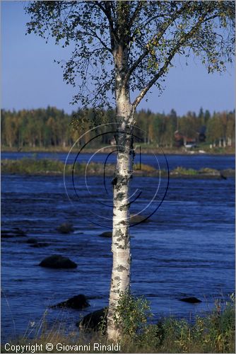 FINLAND - FINLANDIA - Fiume Tomionjoki tra Tornio e Pello